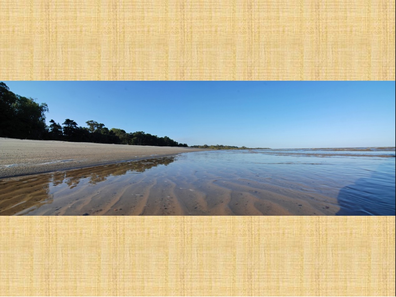 FRACCION DE 2 HECTAREAS SOBRE PLAYA FERRANDO COLONIA URUGUAY