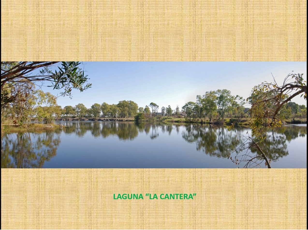 FRACCION DE 2 HECTAREAS SOBRE PLAYA FERRANDO COLONIA URUGUAY