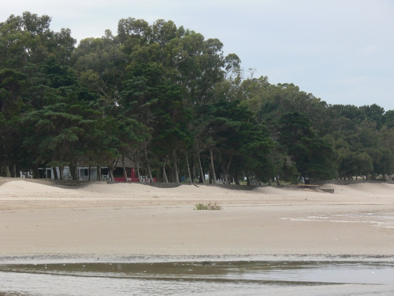 FRACCION DE 2 HECTAREAS SOBRE PLAYA FERRANDO COLONIA URUGUAY