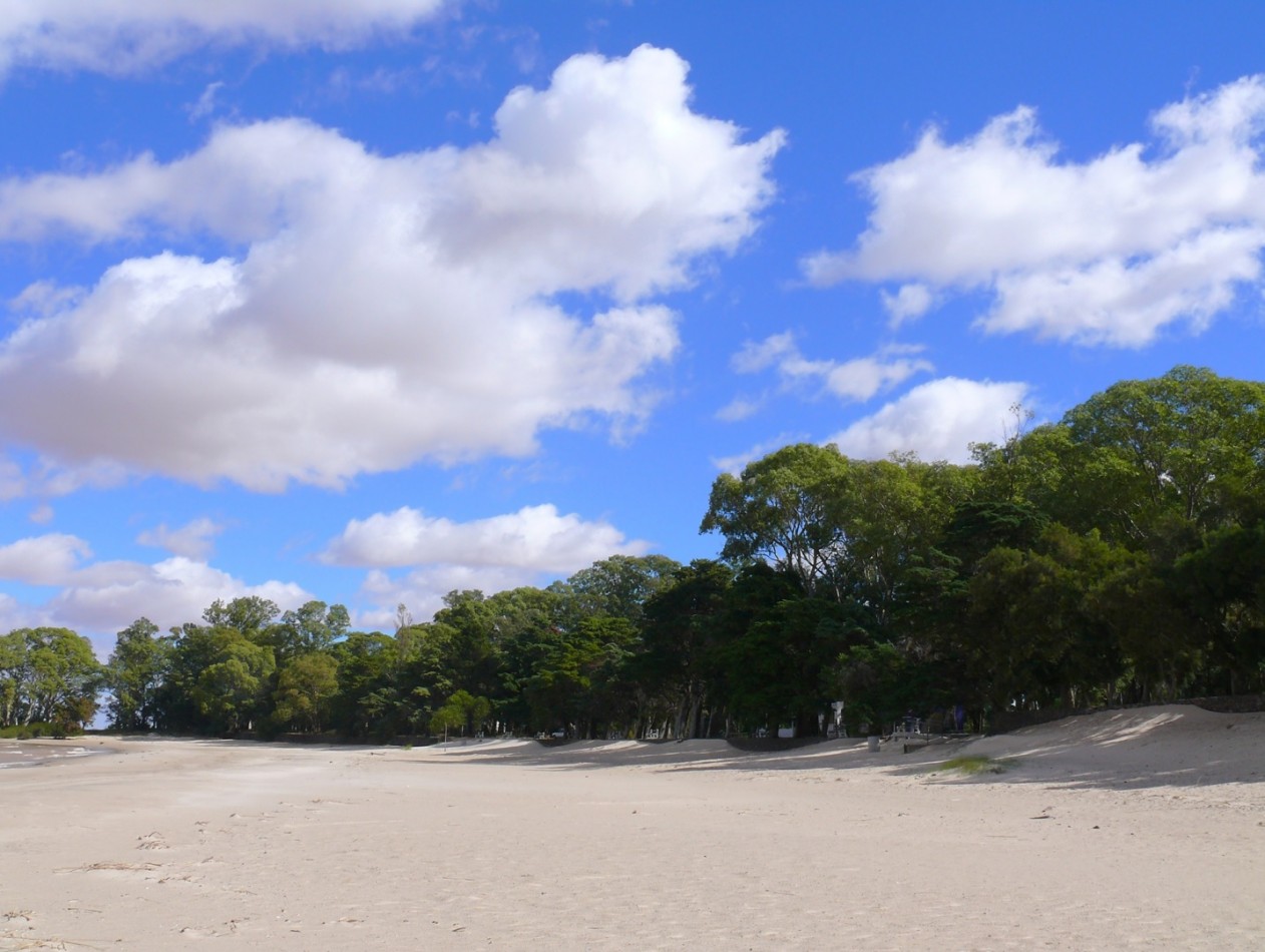 FRACCION DE 2 HECTAREAS SOBRE PLAYA FERRANDO COLONIA URUGUAY